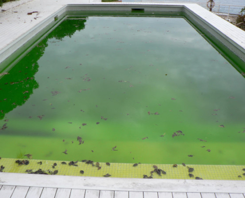 Tout savoir sur le traitement de l'eau verte d'une piscine