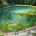 Piscine eau verte